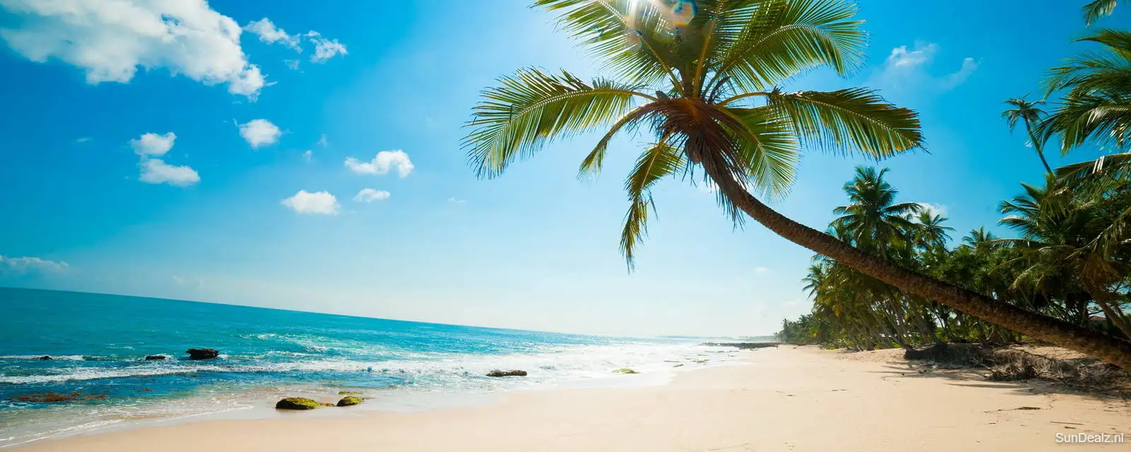 Last minute all inclusive vakantie aanbieders ☀️ Lastminute All Inclusive